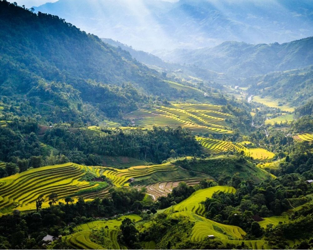 Top điểm ngắm hoa Tam giác mạch tại thung lũng Sủng Là 