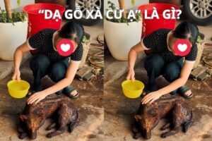 "Dạ gỗ xà cừ ạ" là gì? Nguồn gốc chiếc trend hot hiện nay