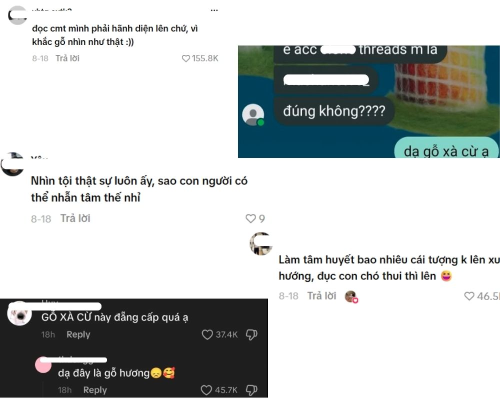 Các bình luận của người dùng khác