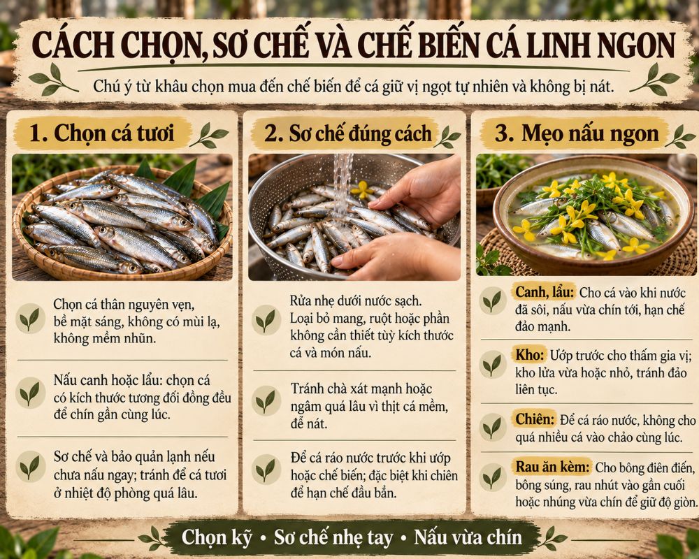 Hướng dẫn cách sơ chế cá và các mẹo nấu ăn không thể bỏ qua.