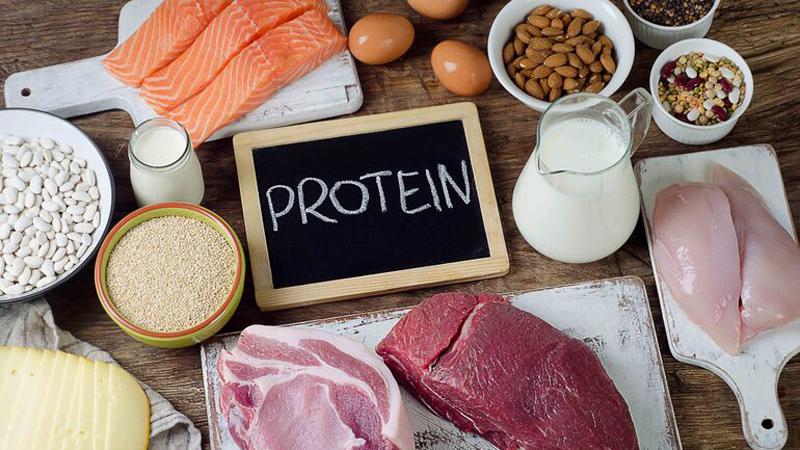 Protein giúp duy trì sự cân bằng nước và điện giải trong cơ thể