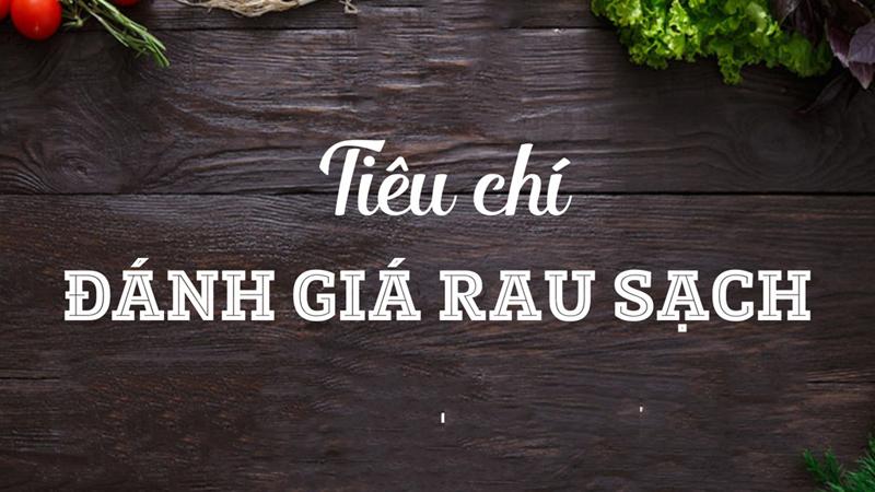 Để đánh giá thế nào là rau sạch, bạn có thể dựa vào các tiêu chí nguồn gốc, hình ảnh…