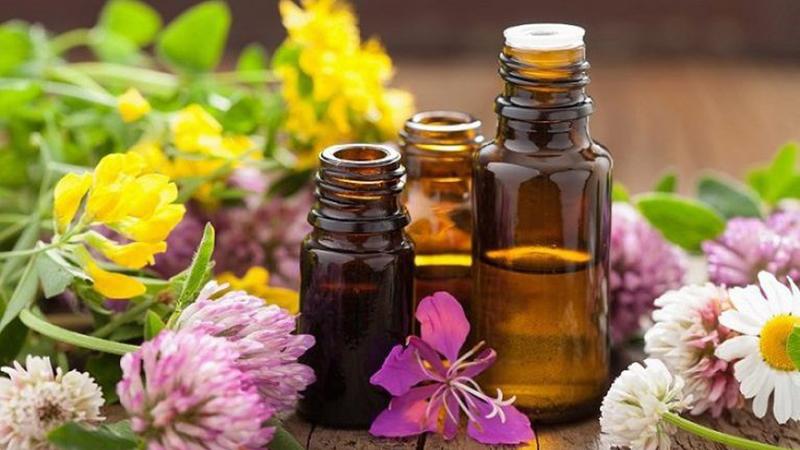 Tinh dầu có khả năng đuổi muỗi