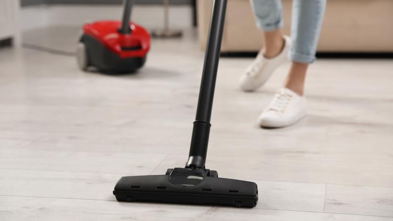 Máy hút bụi có thể hút muỗi vào túi lọc của máy