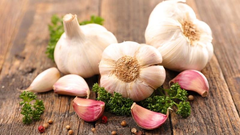 Tỏi là một biện pháp hiệu quả để tạo ra một rào cản đối với muỗi