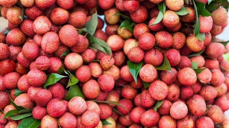 Vải cung cấp lượng vitamin C cao