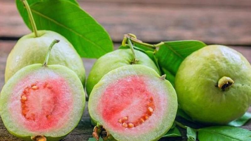 Quả ổi không chứa nhiều chất béo bão hòa, cholesterol