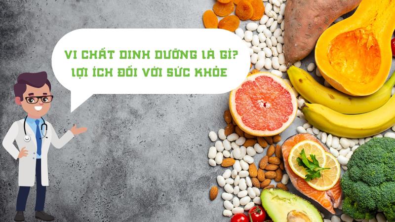 Các vi chất dinh dưỡng tham gia vào hầu hết các quá trình trong cơ thể