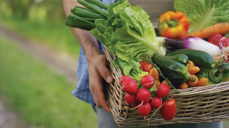 Bạn nên ăn nhiều rau củ quả, chiếm khoảng 60% chế độ ăn
