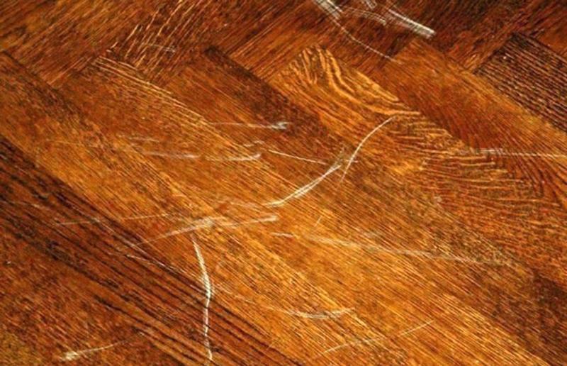 Vết xước trên thớt tạo điều kiện thuận lợi cho nấm mốc
