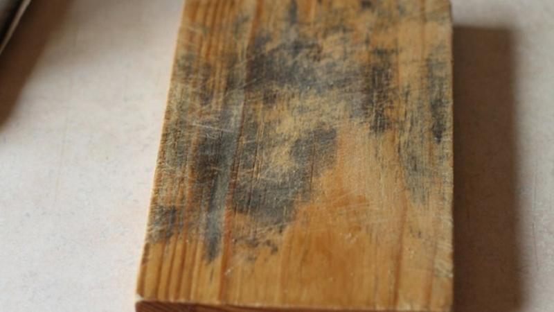 Thớt bị mốc sẽ gây ra các bệnh về dạ dày, đường ruột và hệ tiêu hóa