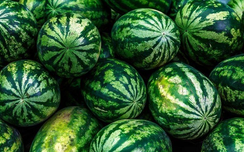 Cách chọn dưa hấu ngon ngọt vỏ mỏng không phải ai cũng biết