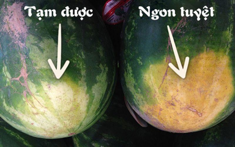 Nhìn vào đáy nơi tiếp đất của quả dưa cũng là một cách chọn dưa hấu ngon