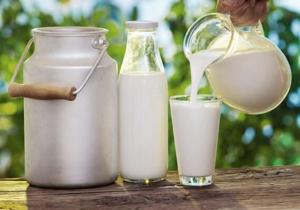 Sữa tươi là một nguồn thực phẩm giàu canxi tự nhiên