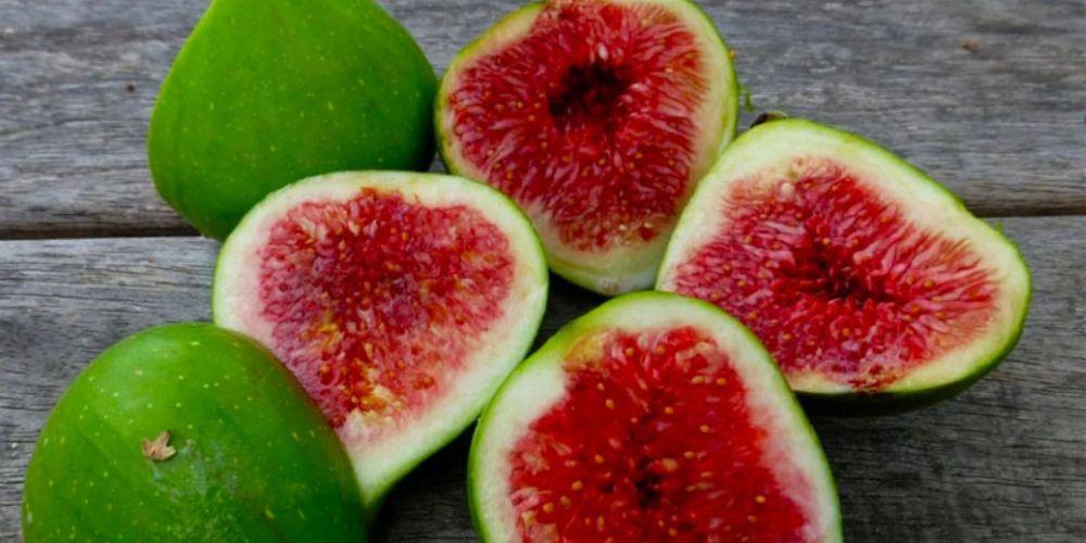 Quả sung giúp giảm triệu chứng buồn nôn và khó tiêu ở mẹ bầu
