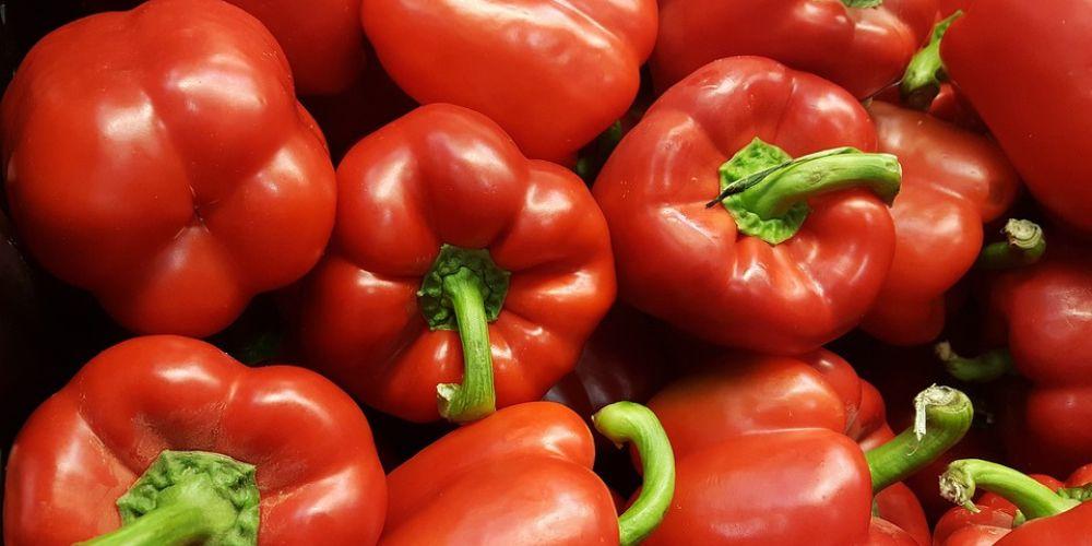 Ớt chuông đỏ giúp giảm nguy cơ bị oxy hóa và hỗ trợ điều trị suy thận