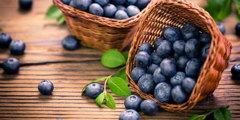 Quả việt quất tốt cho sức khỏe hỗ trợ điều trị bệnh suy thận