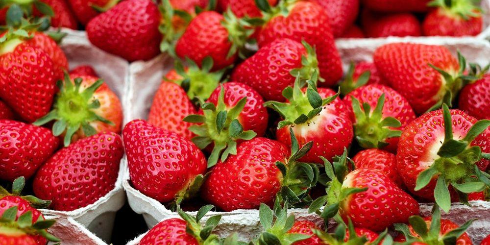 Dâu tây là một loại trái cây giàu vitamin C và chất xơ, rất tốt cho sức khỏe