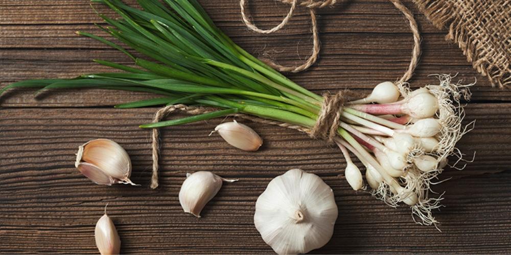 Hành và tỏi có tác dụng khử mùi tanh của cá biển