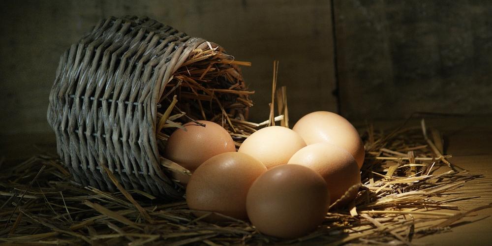 Trứng cung cấp vitamin B và choline