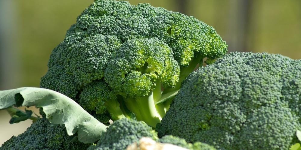 Bông cải xanh giàu vitamin C và chất xơ, giúp hỗ trợ quá trình tiêu hóa và giảm mỡ