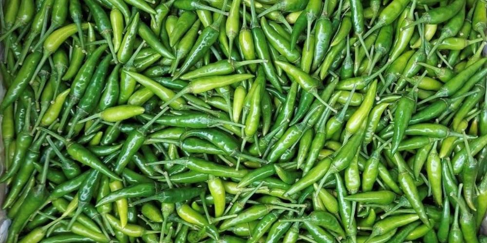 Ớt sừng có khả năng đốt calo, kiểm soát cân nặng và giảm cảm giác thèm ăn