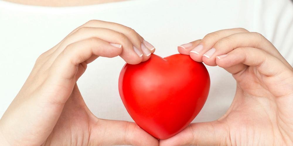 Rau mồng tơi tốt cho tim mạch