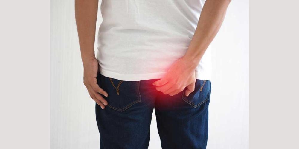 Mồng tơi hỗ trợ điều trị bệnh trĩ nhẹ