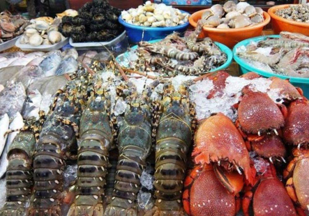 Có thể tìm mua hải sản chất lượng tại các siêu thị hải sản và chuỗi cửa hàng uy tín