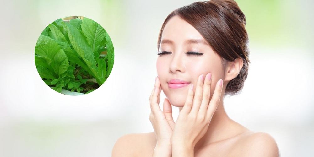Ăn cải bẹ xanh giúp đẹp da