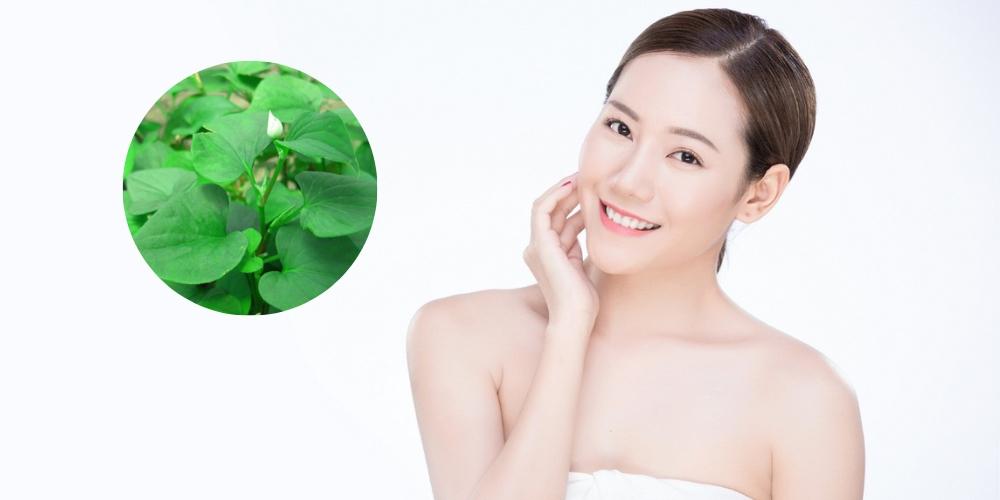 Rau diếp cá hỗ trợ trị mụn