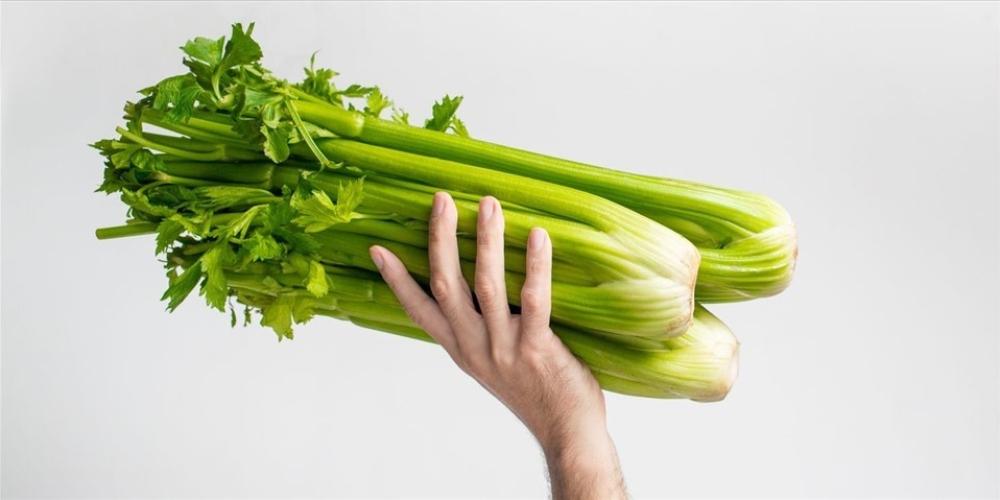 Cần tây hỗ trợ bệnh đái tháo đường