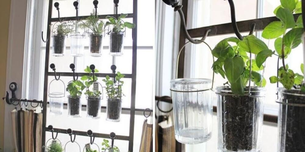 Chai nhựa trồng rau treo hướng thẳng đứng