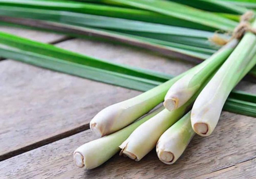 Khử mùi hôi tủ lạnh bằng sả