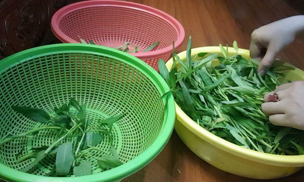 Nhặt rau muống để loại bỏ cuống già, lá vàng, phần bị dập hoặc bị nát
