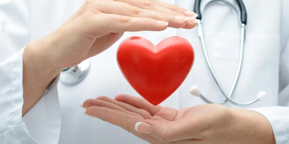 Rau má tốt cho tim mạch