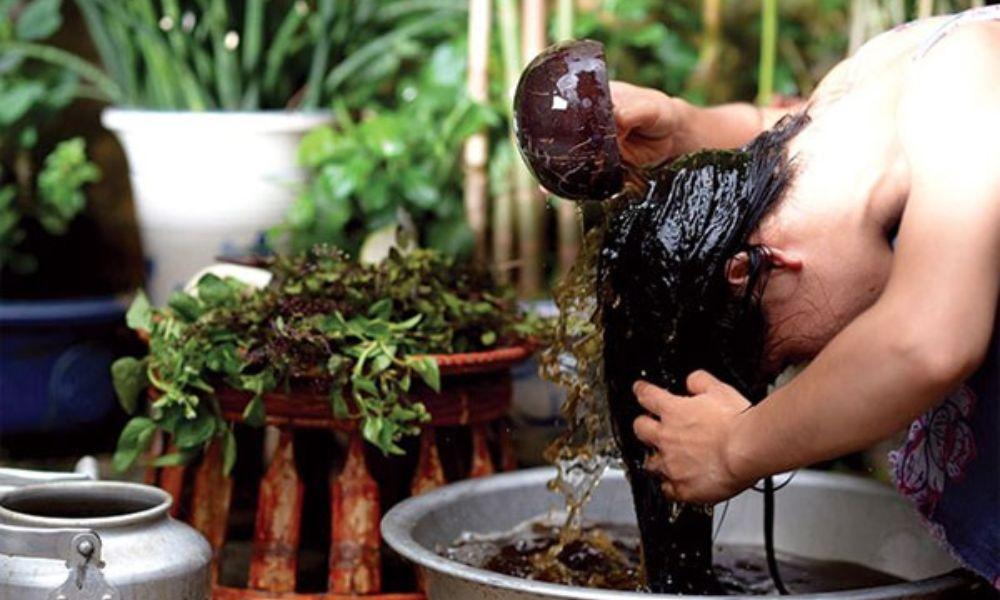 Sử dụng bồ kết giúp cung cấp dưỡng chất cho nang tóc và nuôi dưỡng sợi tóc khỏe mạnh
