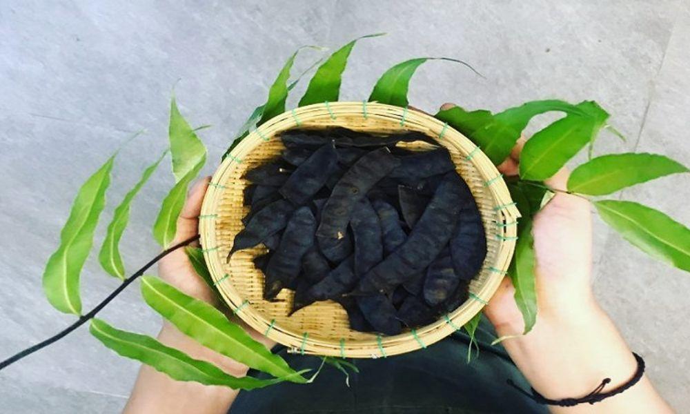 Tác dụng của bồ kết giúp chữa apxe vú