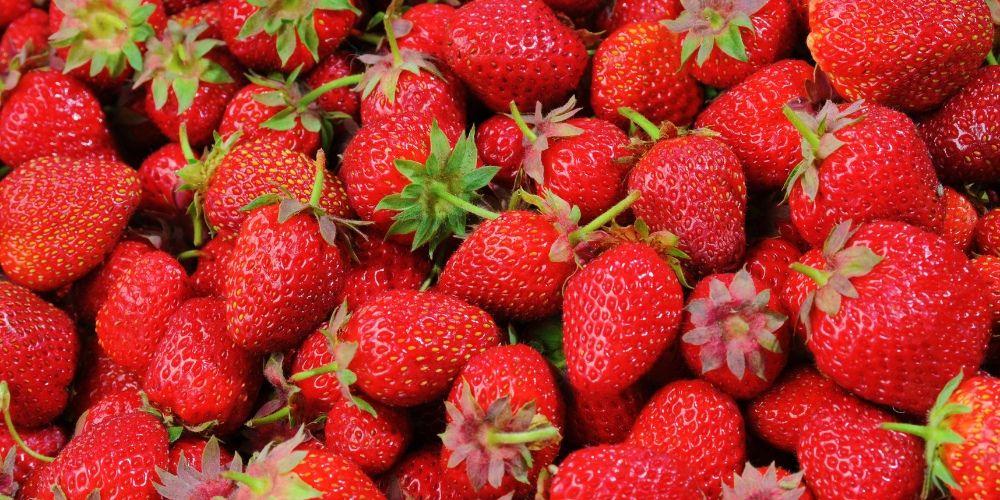 Dâu tây tốt cho bệnh nhân tiểu đường
