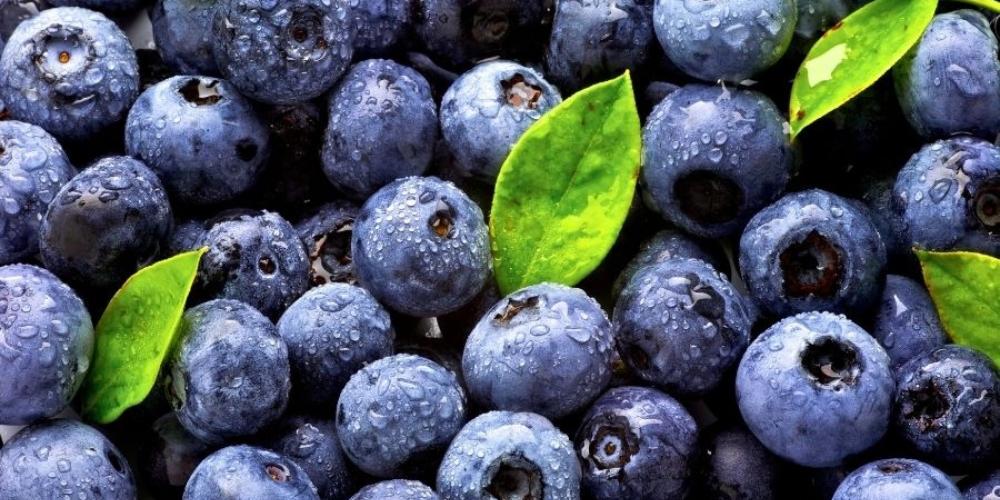 Người tiểu đường nên ăn quả việt quất