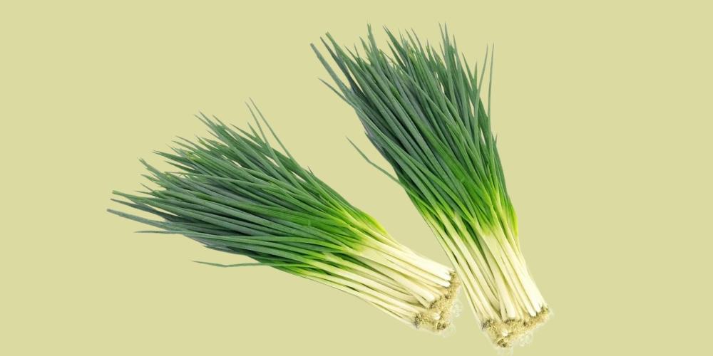 Bảo quản hành lá để sử dụng được lâu dài