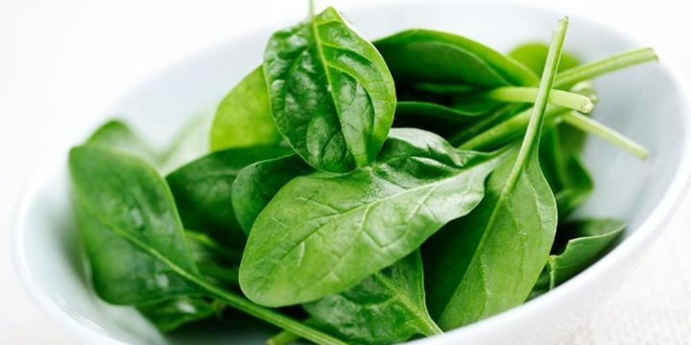 Người bị sốt xuất huyết nên ăn rau bina