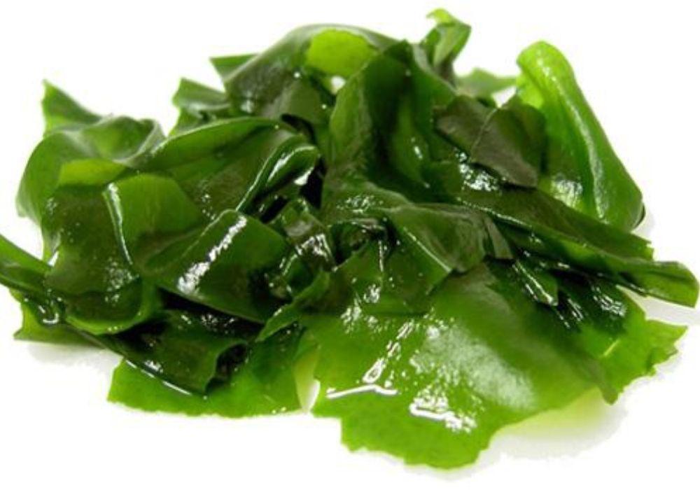 Rong biển giúp điều chỉnh cân bằng nước và muối trong cơ thể