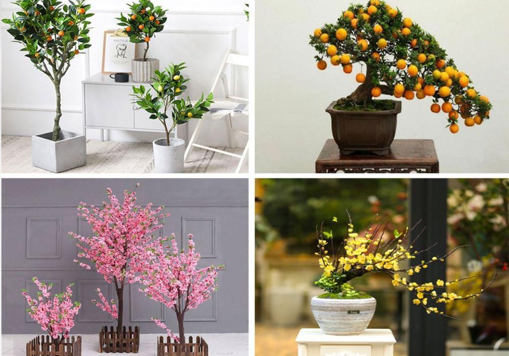 Trang trí cây cảnh đón Tết