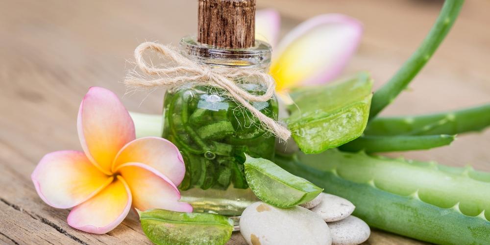 Ngăn ngừa tiểu đường hiệu quả khi dùng nha đam