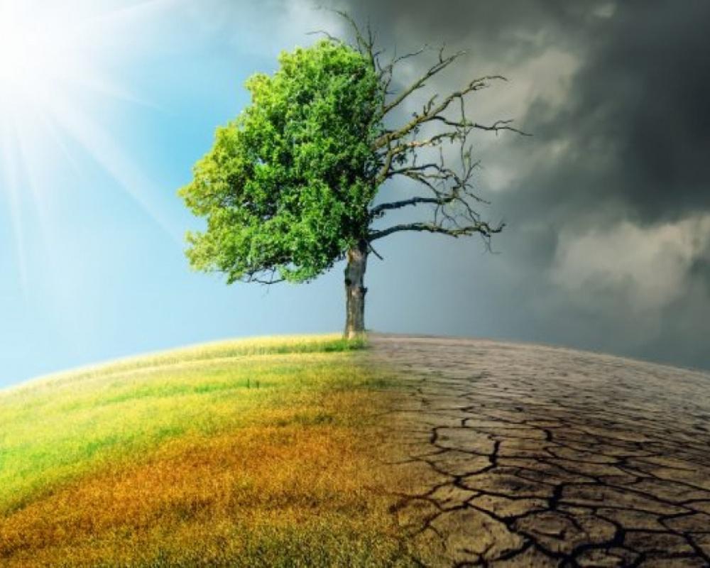 Tầng Ozone bị thủng gây ra hiện tượng biến đổi khí hậu
