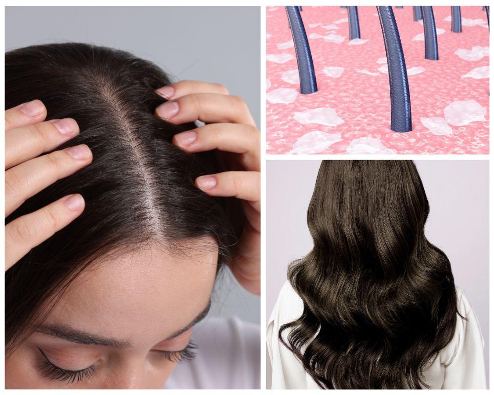Gội đầu thảo dược tại nhà mang đến lợi ích tuyệt vời