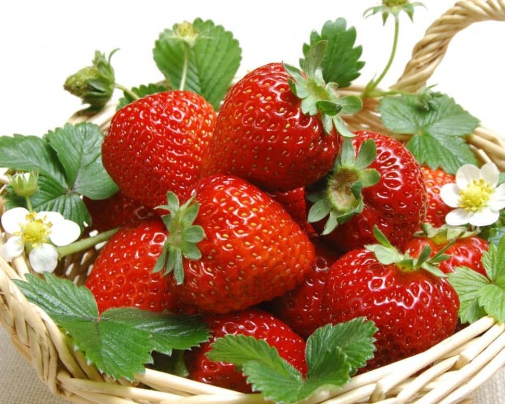 Dâu tây là biểu tượng của tình yêu và may mắn