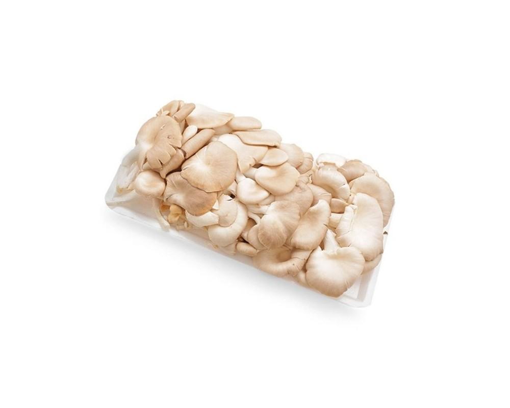 Nấm bào ngư xám 250g – THT