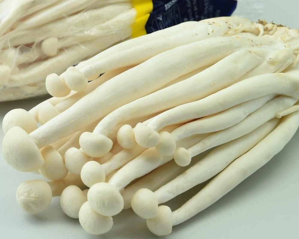 Nấm hải sản